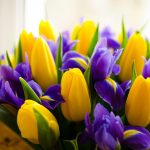 March 8th: Celebrate Women with Intention and Appreciation