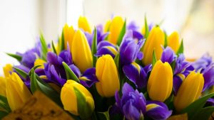 March 8th: Celebrate Women with Intention and Appreciation